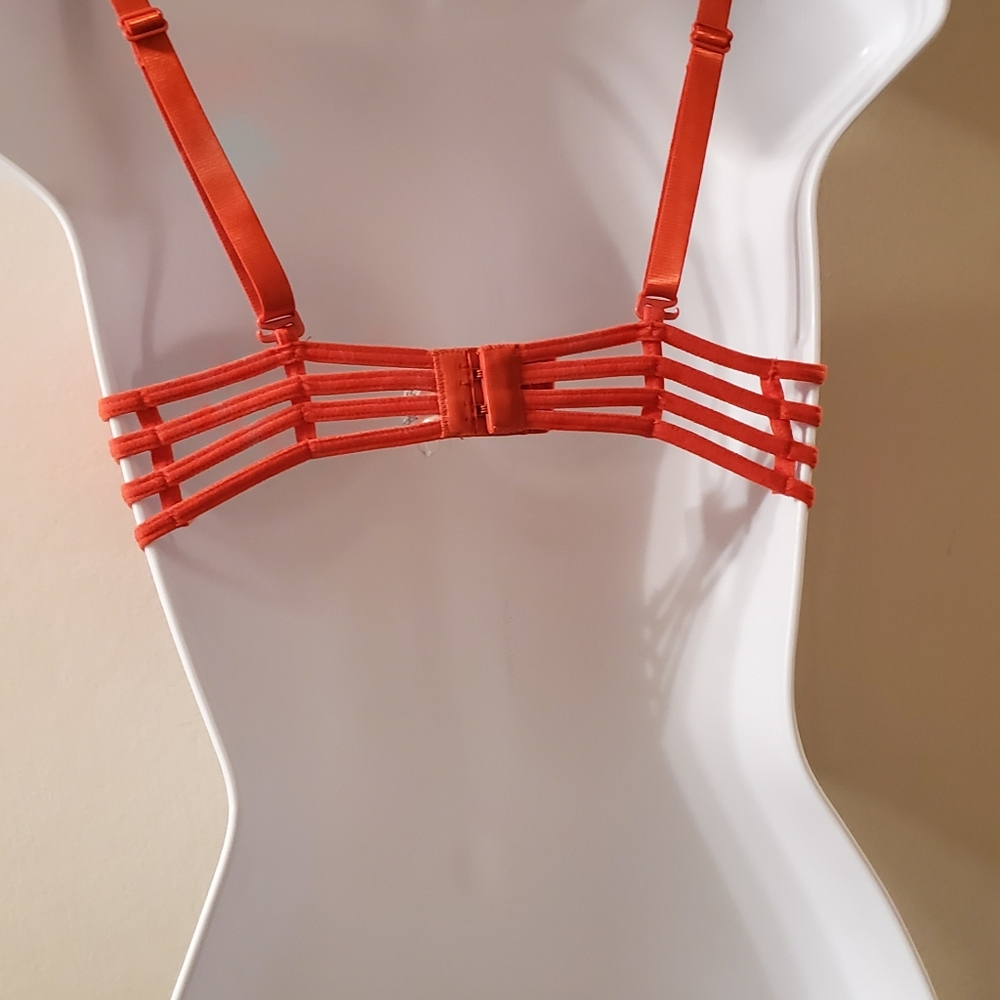 Native  Itimates - Picture 4 of 7